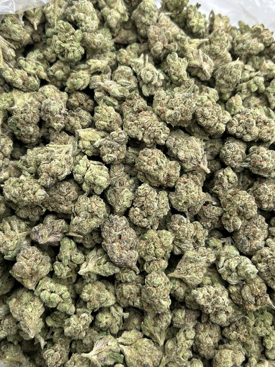 Sunset Sherbinski ☀️