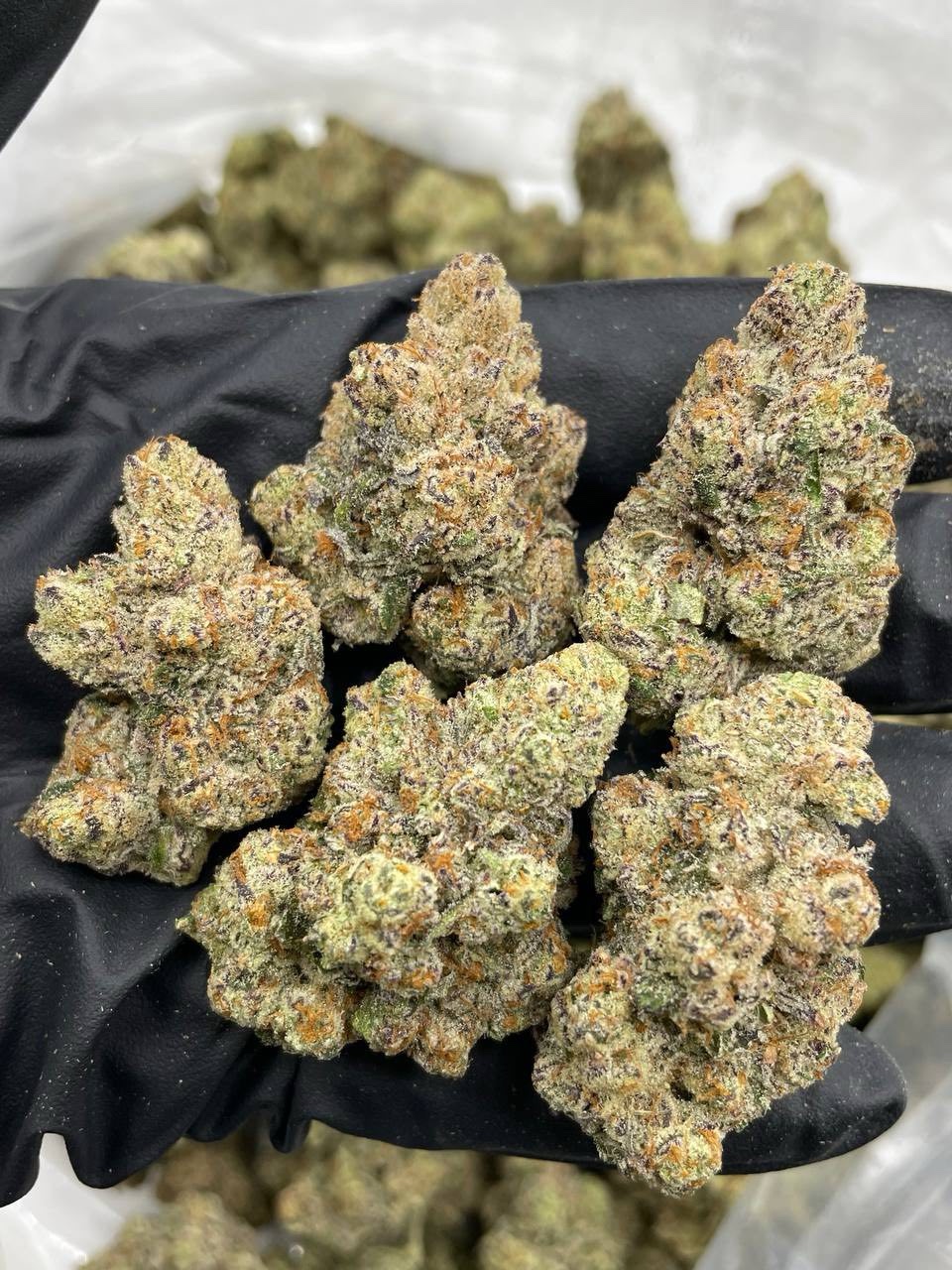 Push Pop Mac indoors