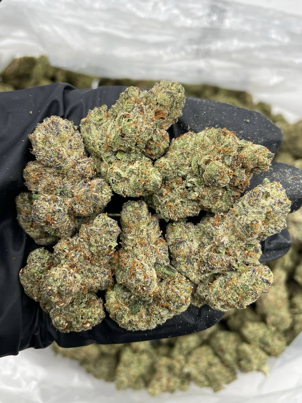 Frozen Granny Smith indoors 🍏