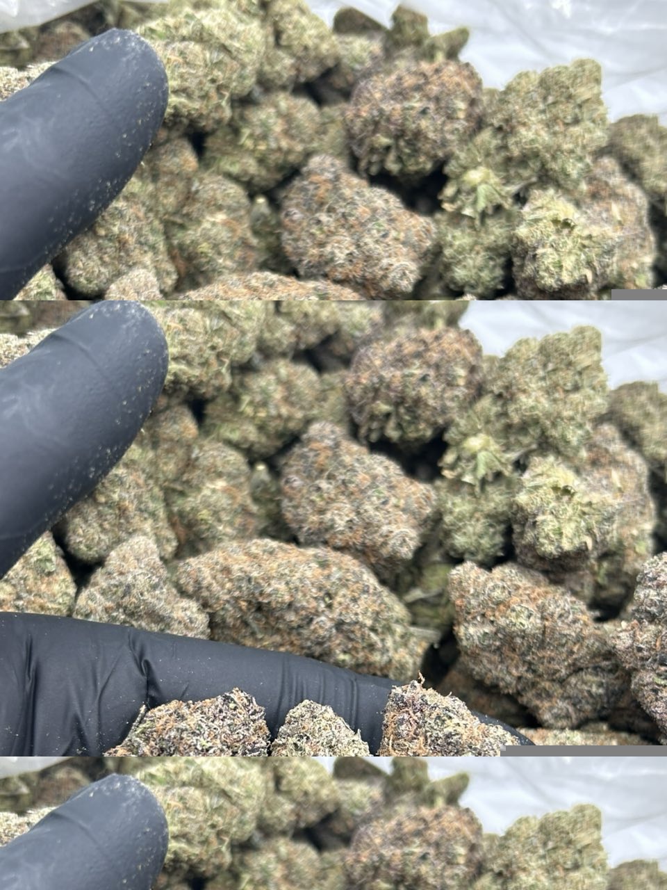 White Cherry Gelato 🍧