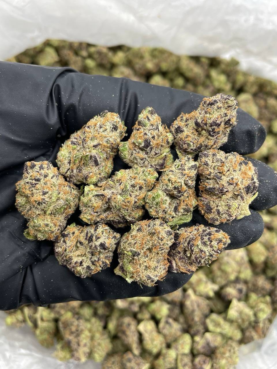 Peanut Butter Biscotti mixed light smalls 🥜🍪