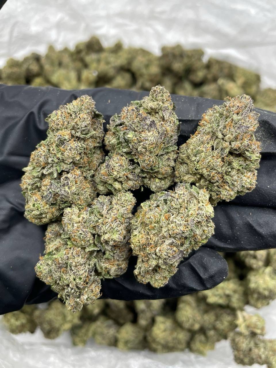 Space Rocks mixed lights