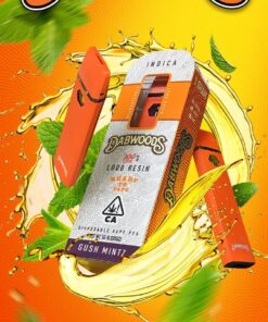 Dabwoods Disposables Gush Mintz
