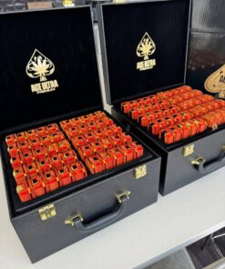 Alternative view of NEW Ace 2G