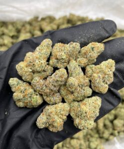 Strawberry Champagne