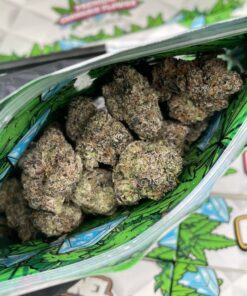 Pillows by Snooze Diamond