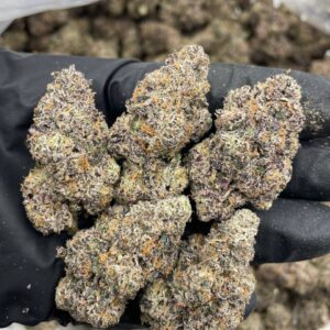 Blue Candy Bubblegum