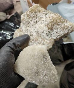 Alternative view of MDMA -  Champagne