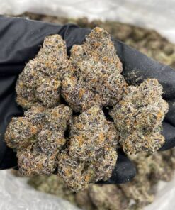 Blue Raspberry Snow Cone