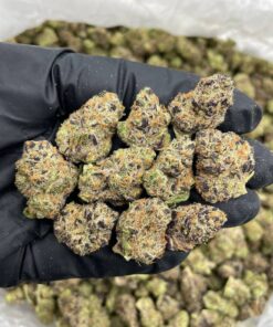 Peanut Butter Biscott