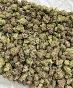 Alternative view of Peanut Butter Biscott