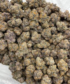 Alternative view of Animal Plushers