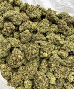 Alternative view of Mango Margarita