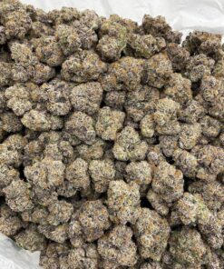 Alternative view of Party Popperz