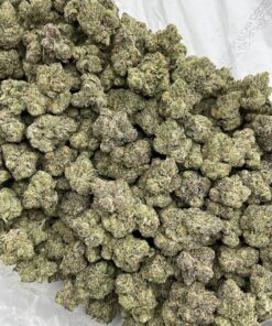 Alternative view of Candy Otter Popz