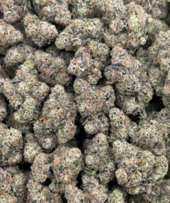 Alternative view of Presidential Runtz