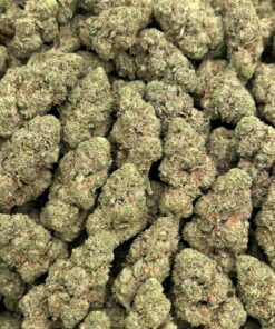 Alternative view of Vanilla Gelato 41