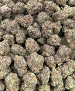 Alternative view of Glazed Apricot Gelato