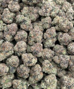 Alternative view of Bolo Runtz