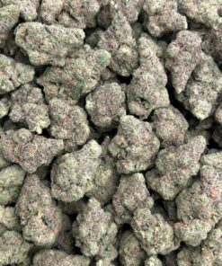 Alternative view of Frosty Toad Candy