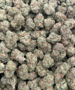 Alternative view of Biscotti