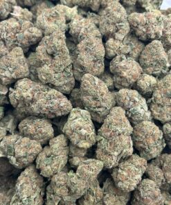 Alternative view of WarHeads