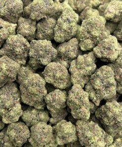 Alternative view of Purple Gruntz