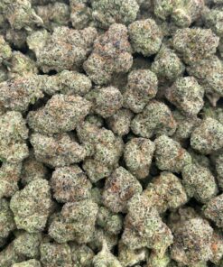 Alternative view of Gumbo Candy