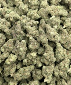 Alternative view of GMO Runtz