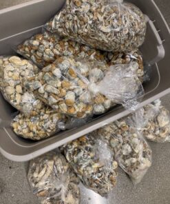 Alternative view of Mushroom