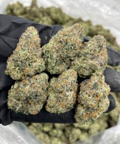 Alternative view of Jawbreaker