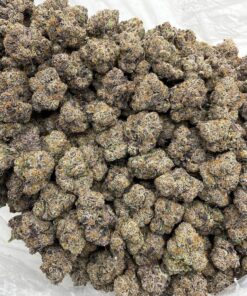 Black Cherry Gelato - HP