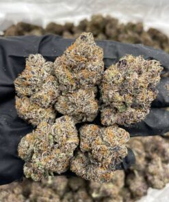 Alternative view of Black Cherry Gelato