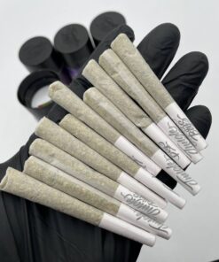 Jungle boys pre rolls